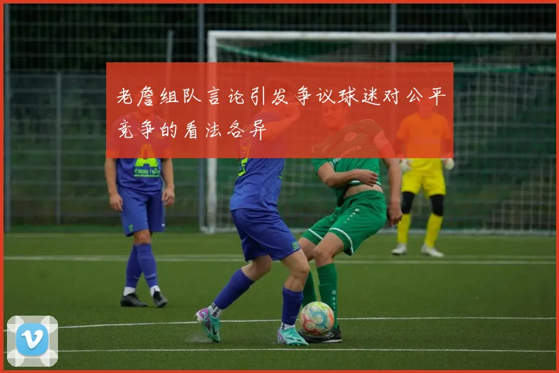 老詹组队言论引发争议球迷对公平竞争的看法各异